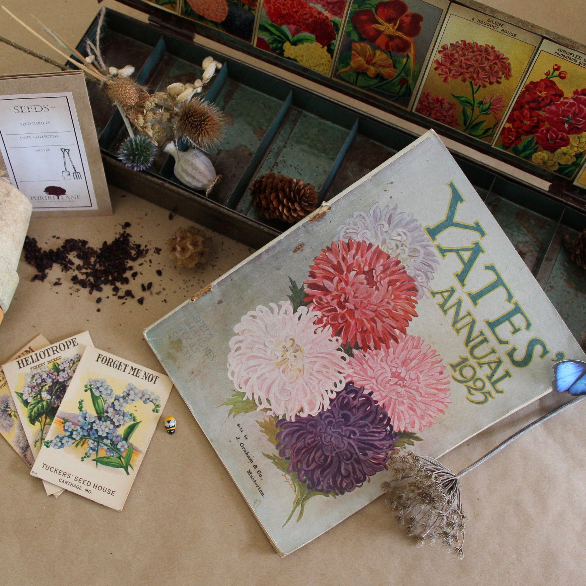 Seeds