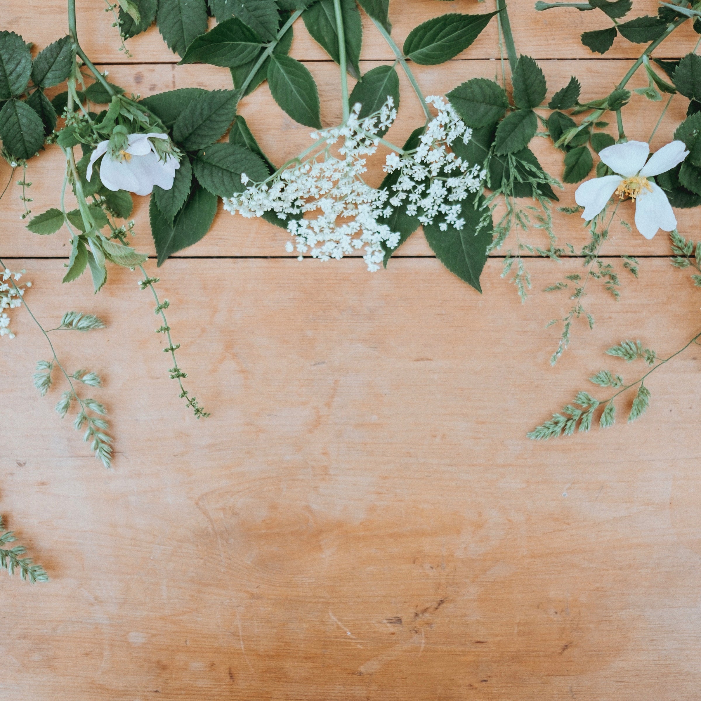 Puriri Lane | Workshops | Inspire | Encourage | Educate
