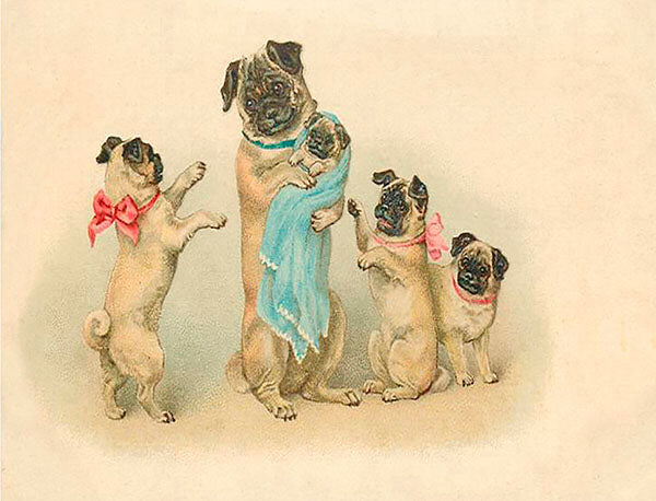 Little shop of pugs outlet