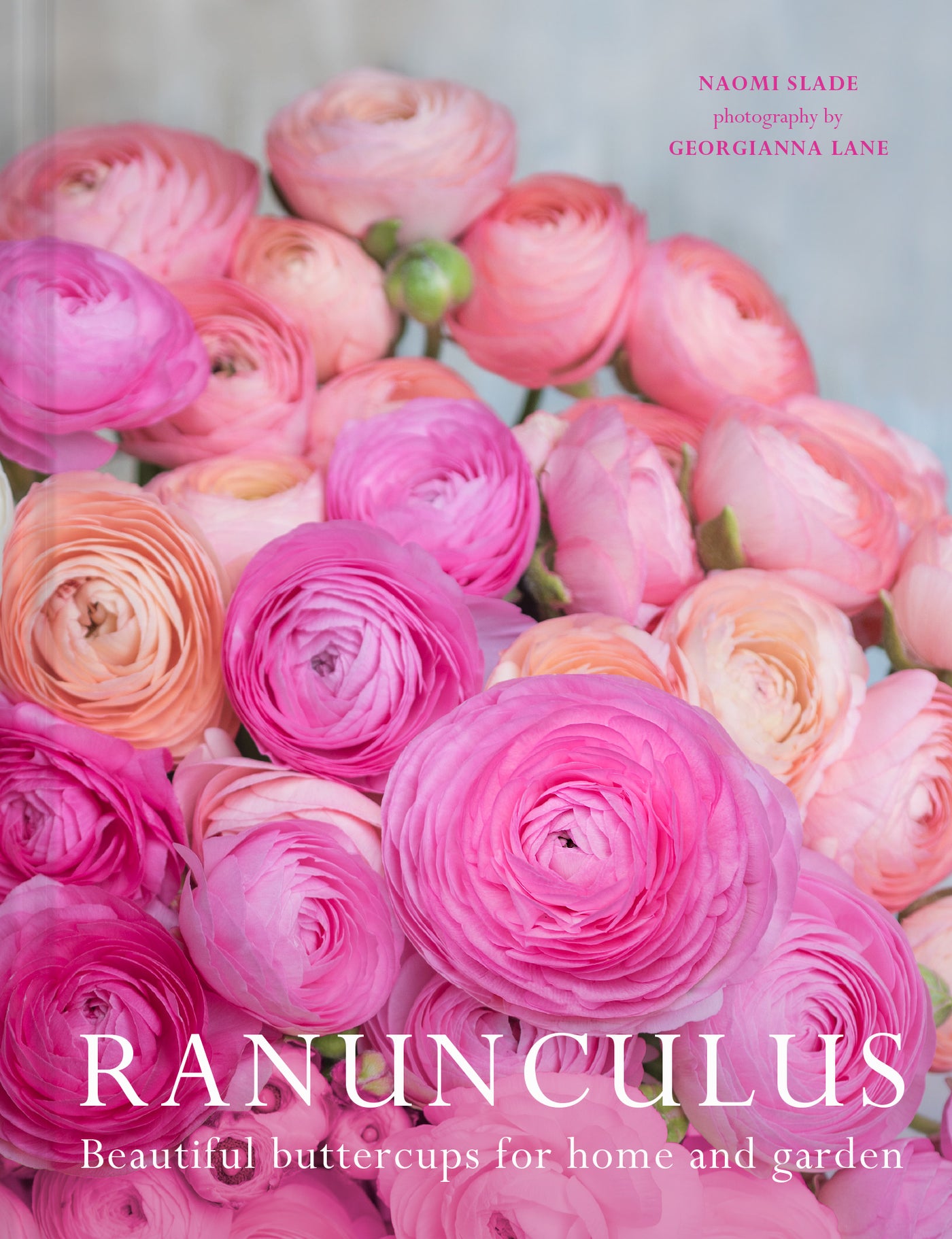 Puriri Lane | Ranunculus | Beautiful Buttercups for Home & Garden | Naomi Slade