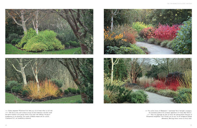 Puriri Lane | Winter Gardens | Reinventing The Season | Cedric Pollet
