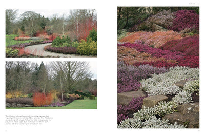 Puriri Lane | Winter Gardens | Reinventing The Season | Cedric Pollet