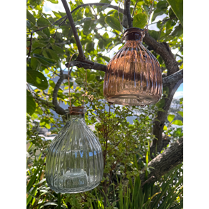 Assorted Wasp Traps