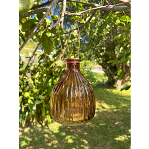 Assorted Wasp Traps
