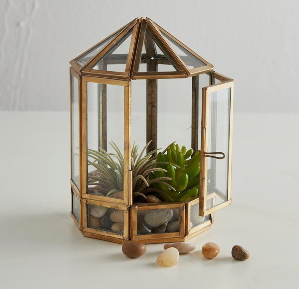 Terrarium Cone