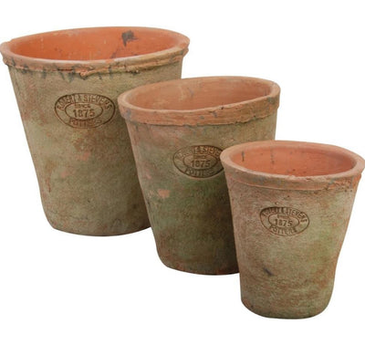 Aged Terracotta With Natural Mosses Pots | Set Of 3