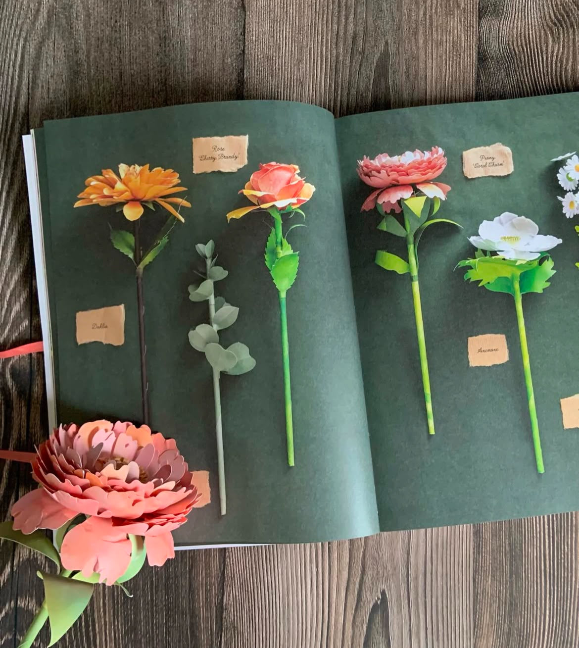 The Bouquet In A Book | Prudence Rogers