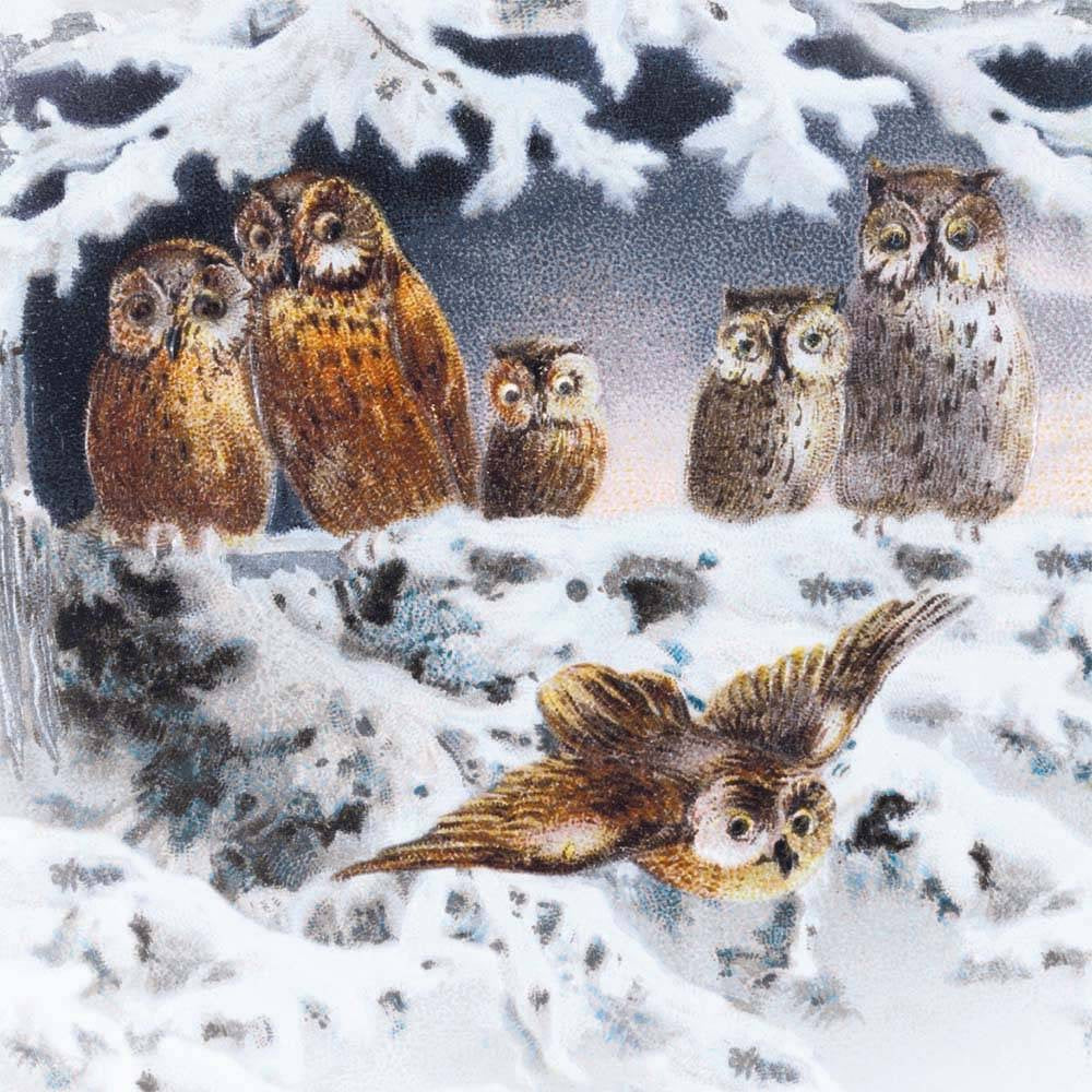 Christmas Gift Cards 8-Pack | Snowy Christmas Owls