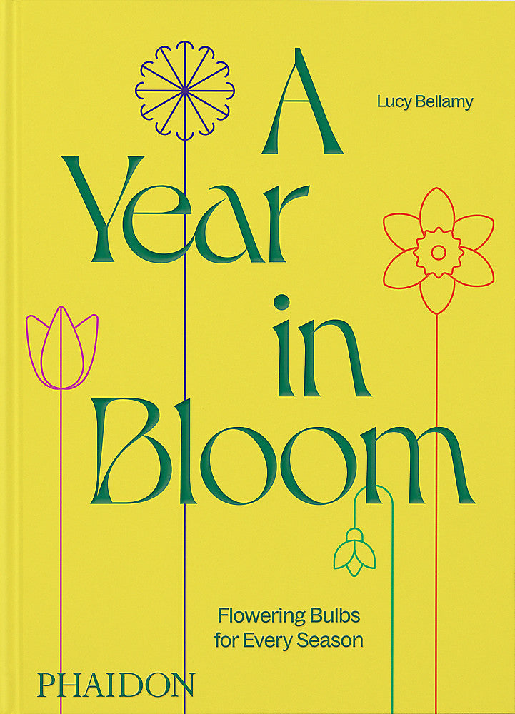 A Year In Bloom | Lucy Bellamy