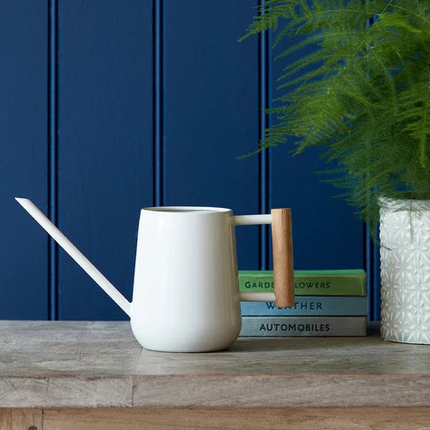 Indoor Watering Can