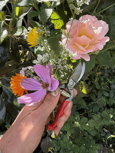 Small Bypass Pruner