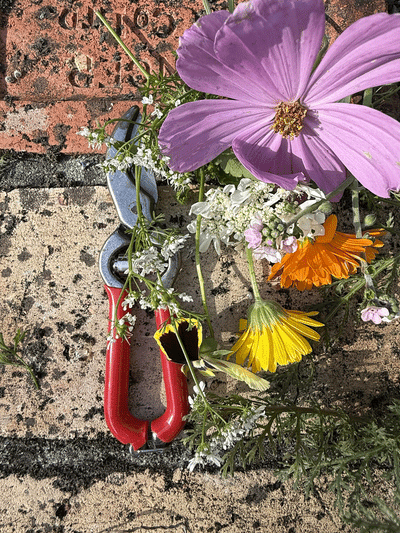 Small Bypass Pruner