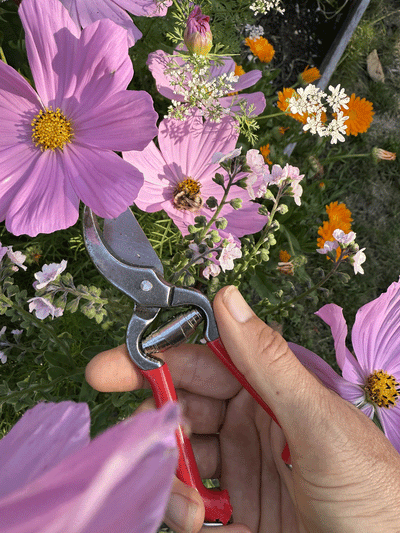 Small Bypass Pruner