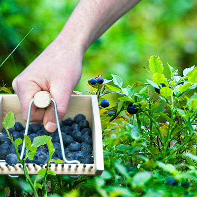 Wooden Berry Picker