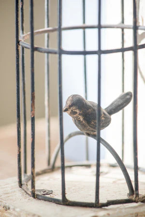 Puriri Lane | Bird in Cage Bookend