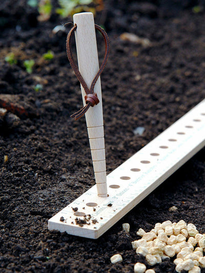 Puriri Lane | Planting Ruler | Burgon & Ball