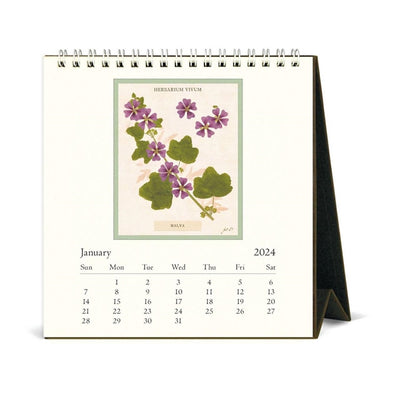Puriri Lane Addenbrooke | Cavallini & Co. | Pressed Flowers 2024 | Desk Calendar