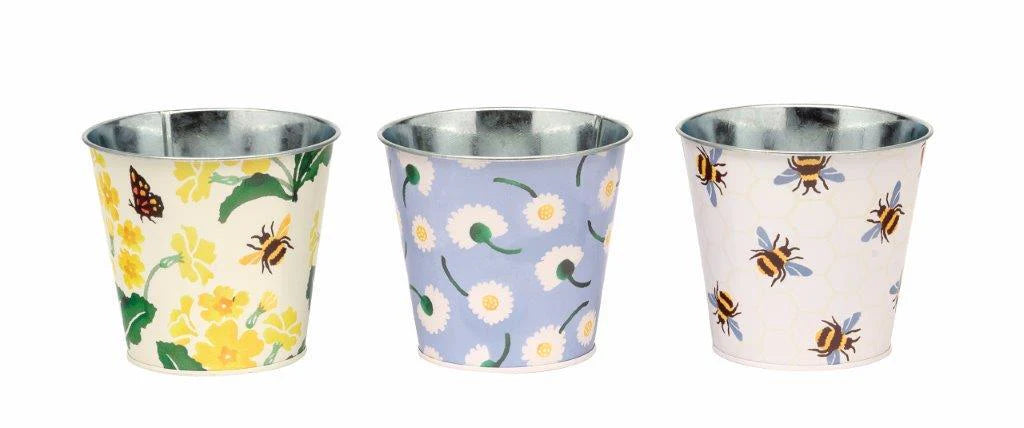 Puriri Lane | Signs of Spring Herb Pots | Set of 3 | Emma Bridgewater