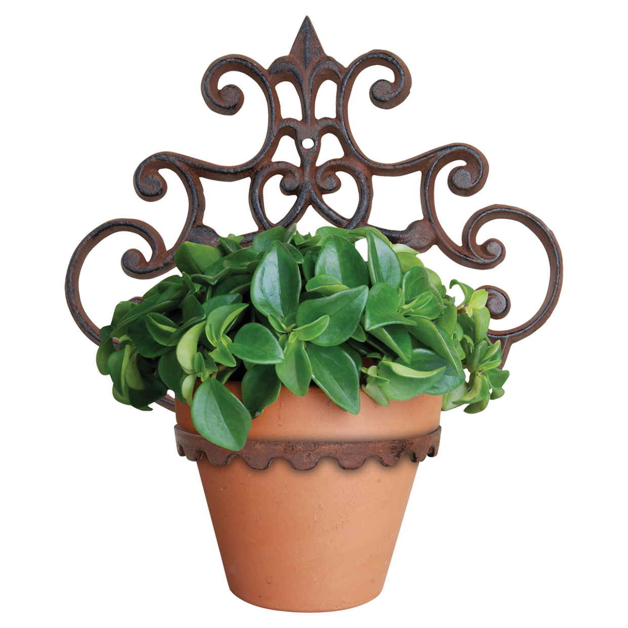 uriri Lane | Cast Iron Flower Pot Holder | Esschert Design