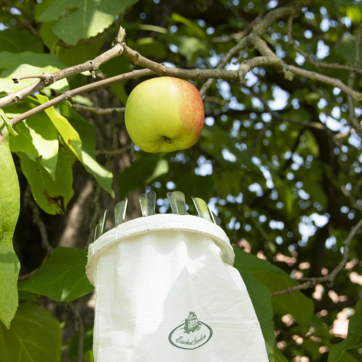 Puriri Lane | Fruit Picker | Esschert Design