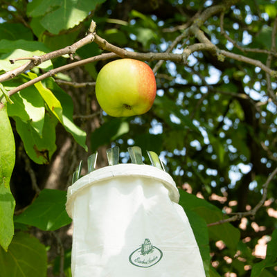 Puriri Lane | Fruit Picker | Esschert Design