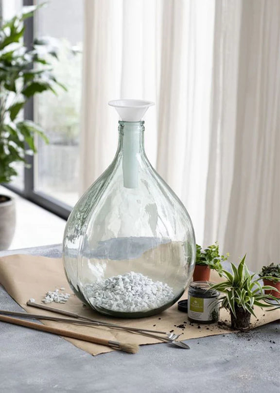 Puriri Lane | Terrarium Funnel | Parnell & Co.