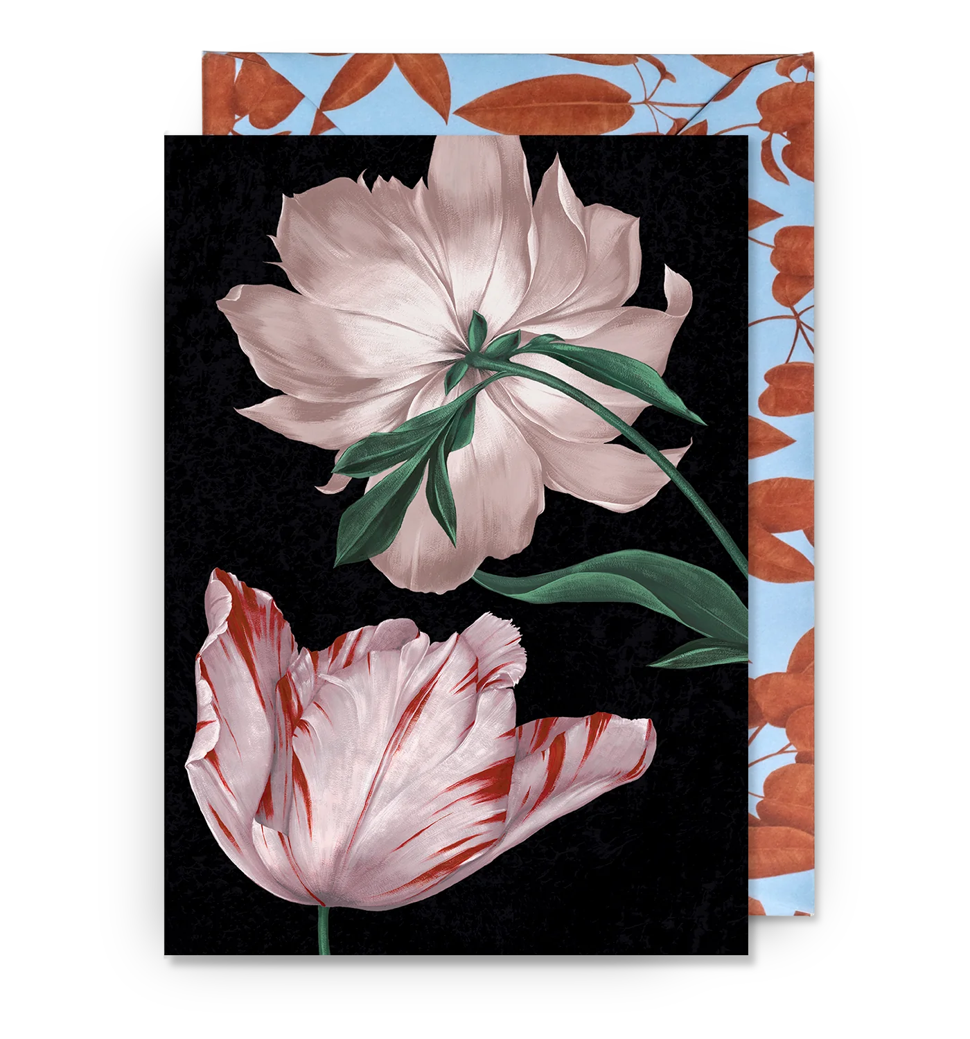 Puriri Lane @ Addenbrooke | Tulips | Anna Glover