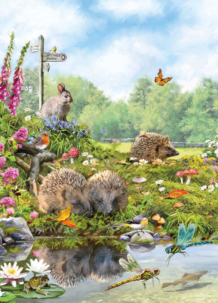 Puriri Lane @ Addenbrooke | Hedgehogs | Country Cards