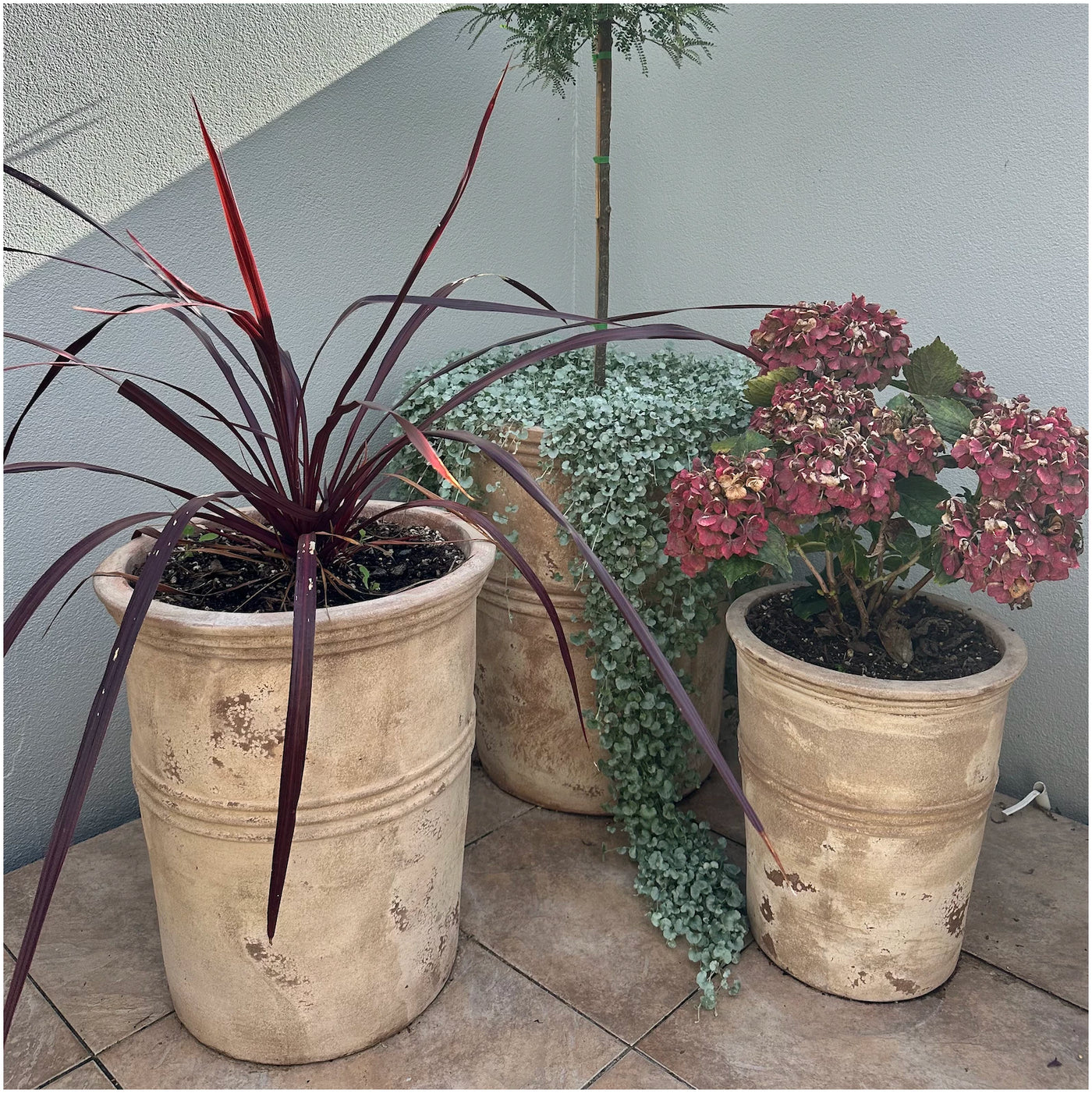 Set Of 2 Tall Round Planters with Bands – Antique Choc (Med/Lge)