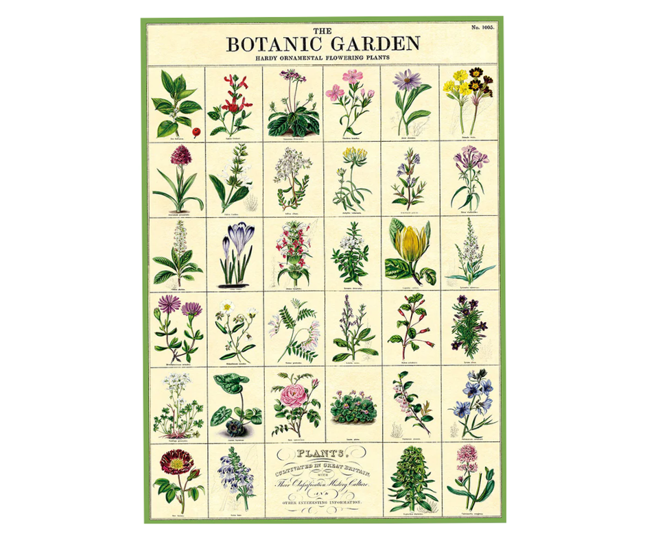Puriri Lane | The Botanic Garden Poster | Cavallini & Co.