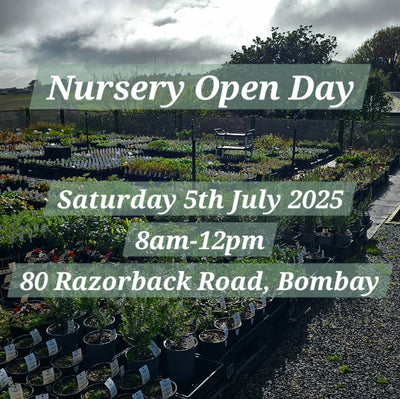 Nursery Open Day Booking