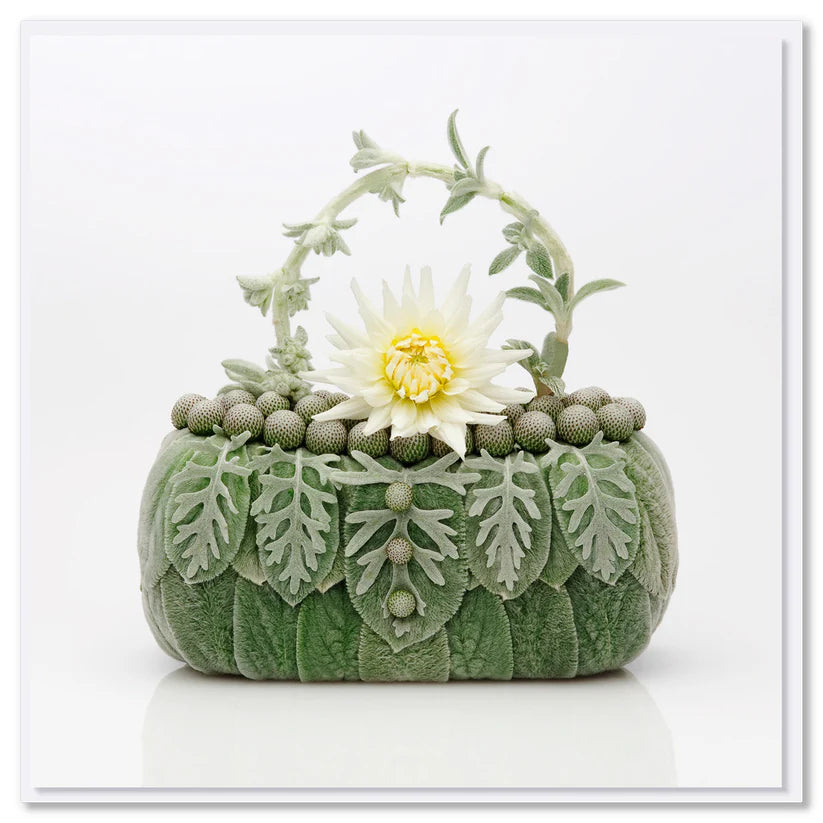 Gift Card | White Dahlia Bag