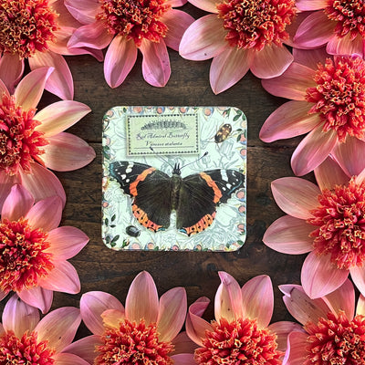 Puriri Lane | Vintage Butterfly Tin | Red Admiral Butterfly
