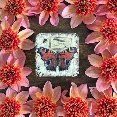 Puriri Lane | Vintage Butterfly Tin | Peacock Butterfly