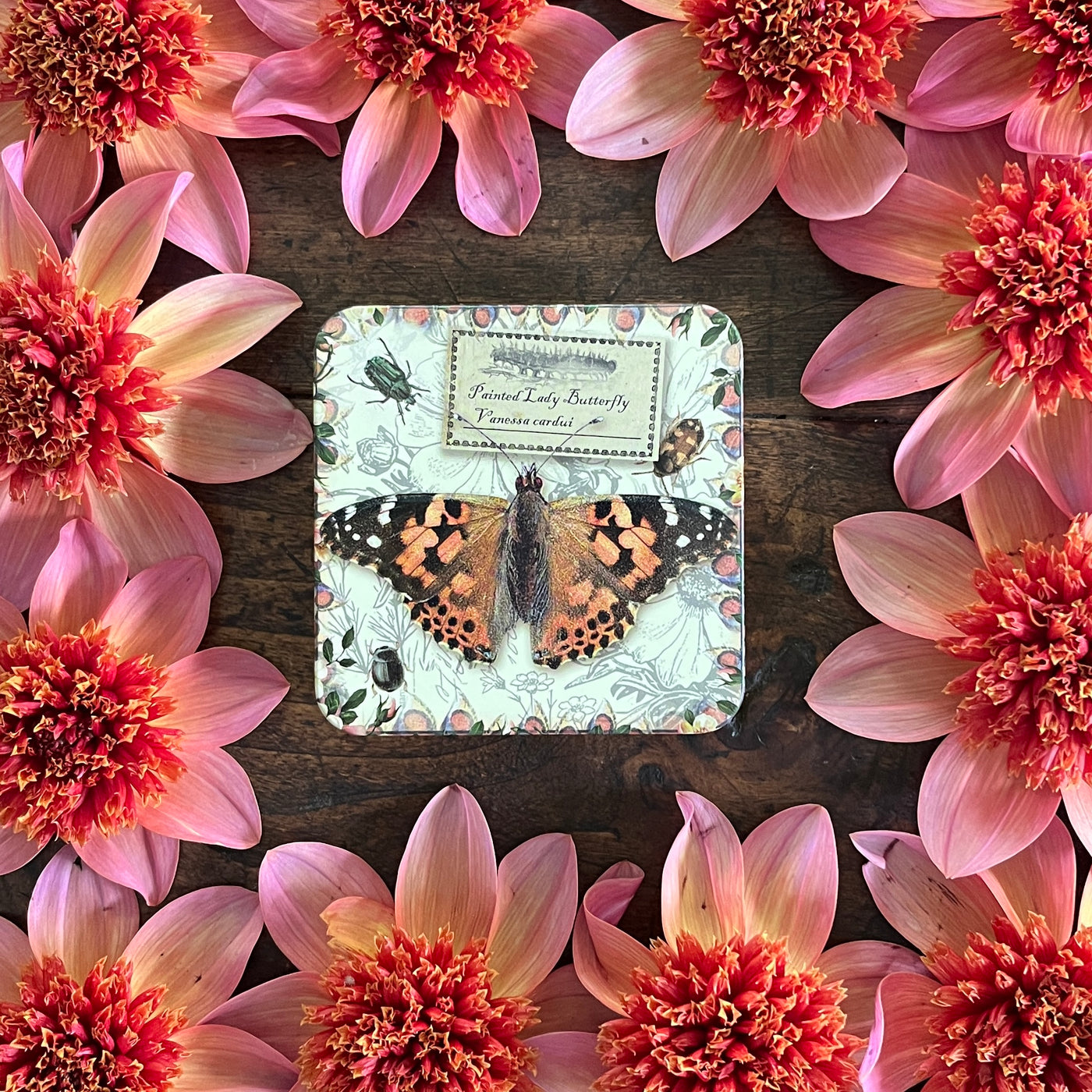 Puriri Lane | Vintage Butterfly Tin | Painted Lady Butterfly