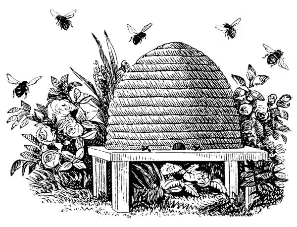 Puriri Lane | Bees to the honey pot | Little Vintage