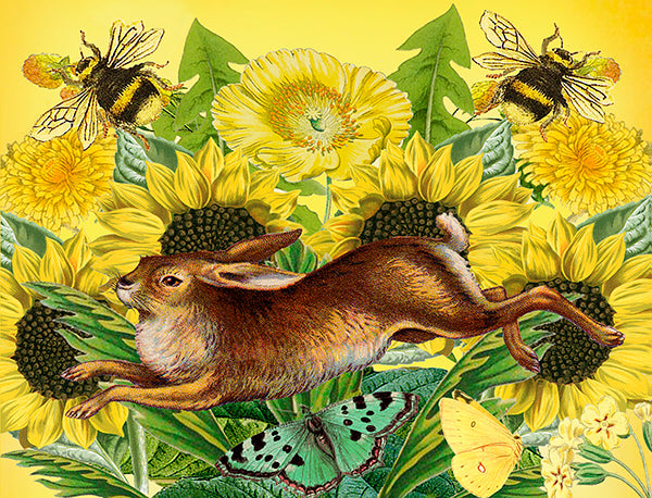 Puriri Lae | Madame Treacle | Bunnies & Bees