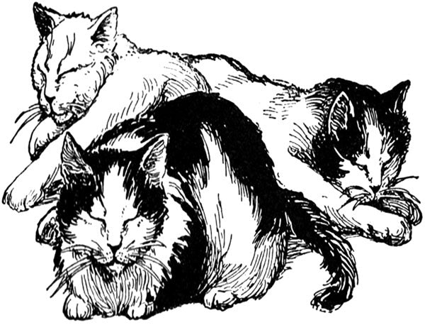 Puriri Lane | Madame Treacle | Little Vintage | Sleeping Cats