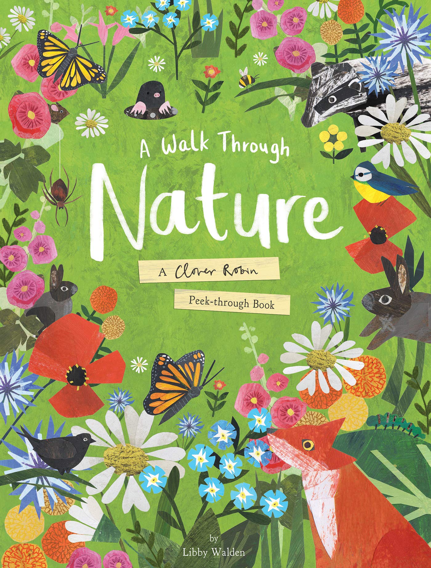 Puriri Lane | A Walk Through Nature | Libby Walden