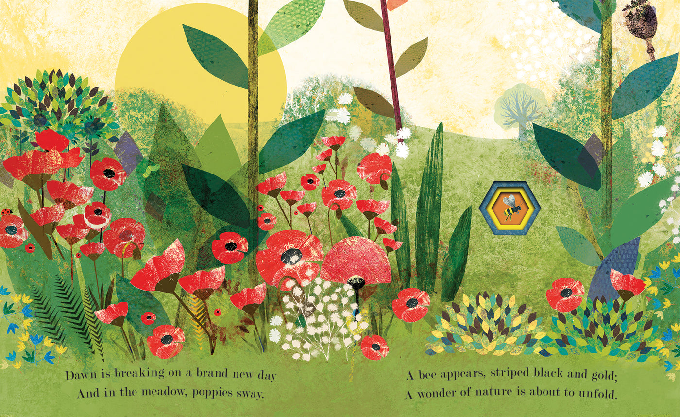 Puriri Lane | Bee | Natures Tiny Miracle | Britta | Teckentrup | Patrica Hegarty