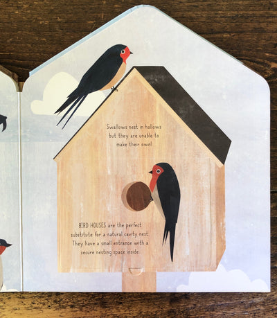 Puriri Lane | Bird House | Libby Walden