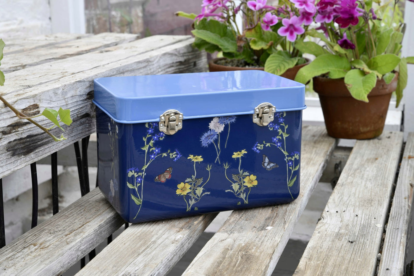 Puriri Lane| RHS | WIldflower Meadow | Seed Tin