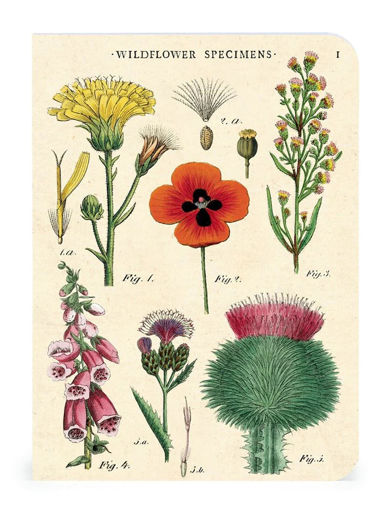 Puriri Lane | Cavallini & Co. | Wildflower Notebooks | Set of 3