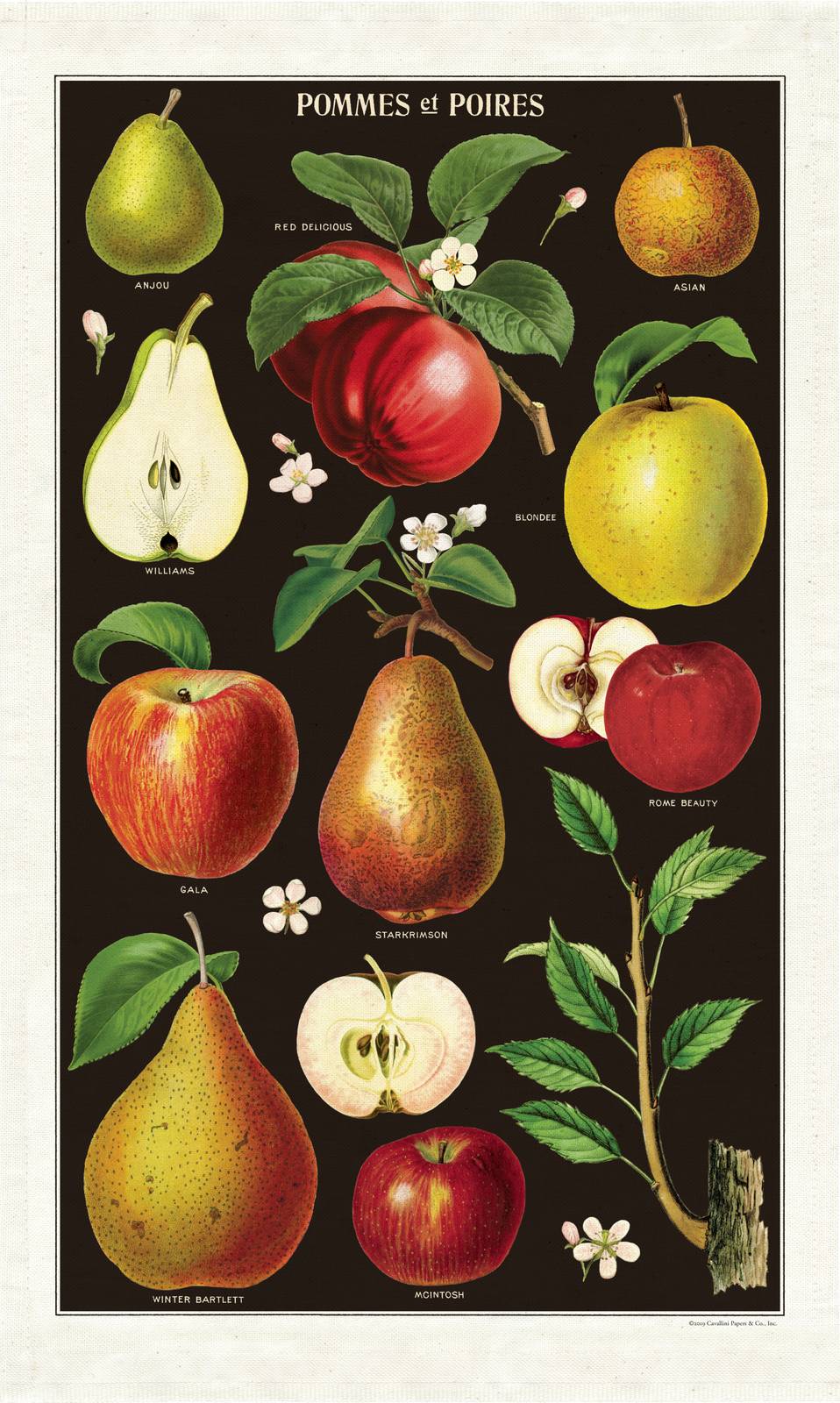Puriri Lane | Apples & Pears | Tea Towel | Cavallini & Co.