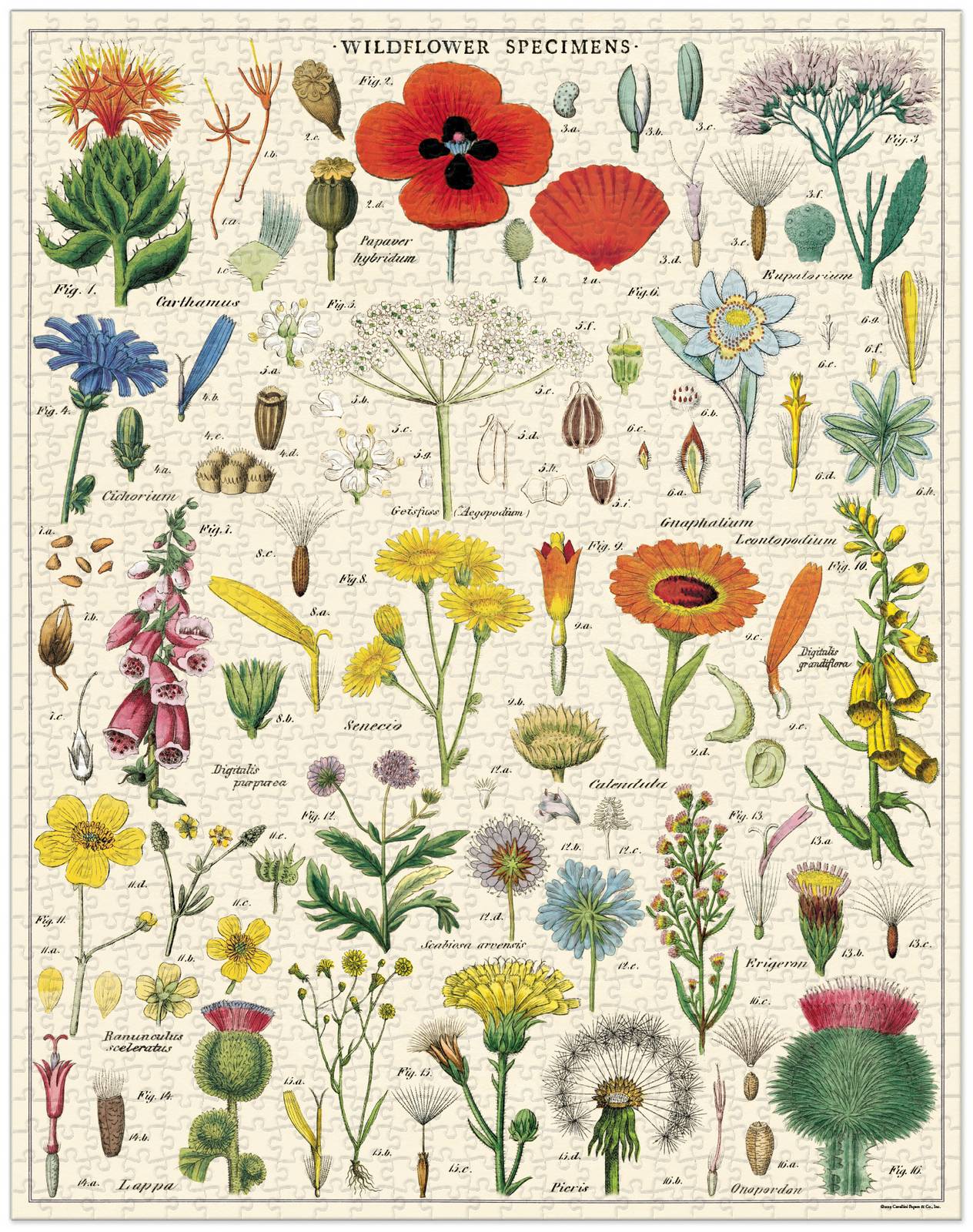 Puriri Lane | Wildflowers | Vintage 1000 piece Jigsaw | Cavallini & Co