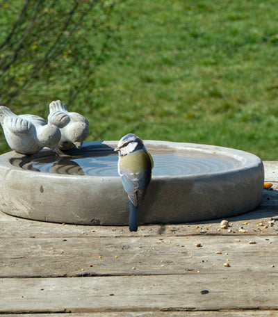 Puriri Lane | Bird Bath | Bee Water Saucer