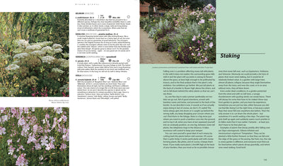 Puriri Lane Dream Plants For The Natural Garden | Piet Odoulf