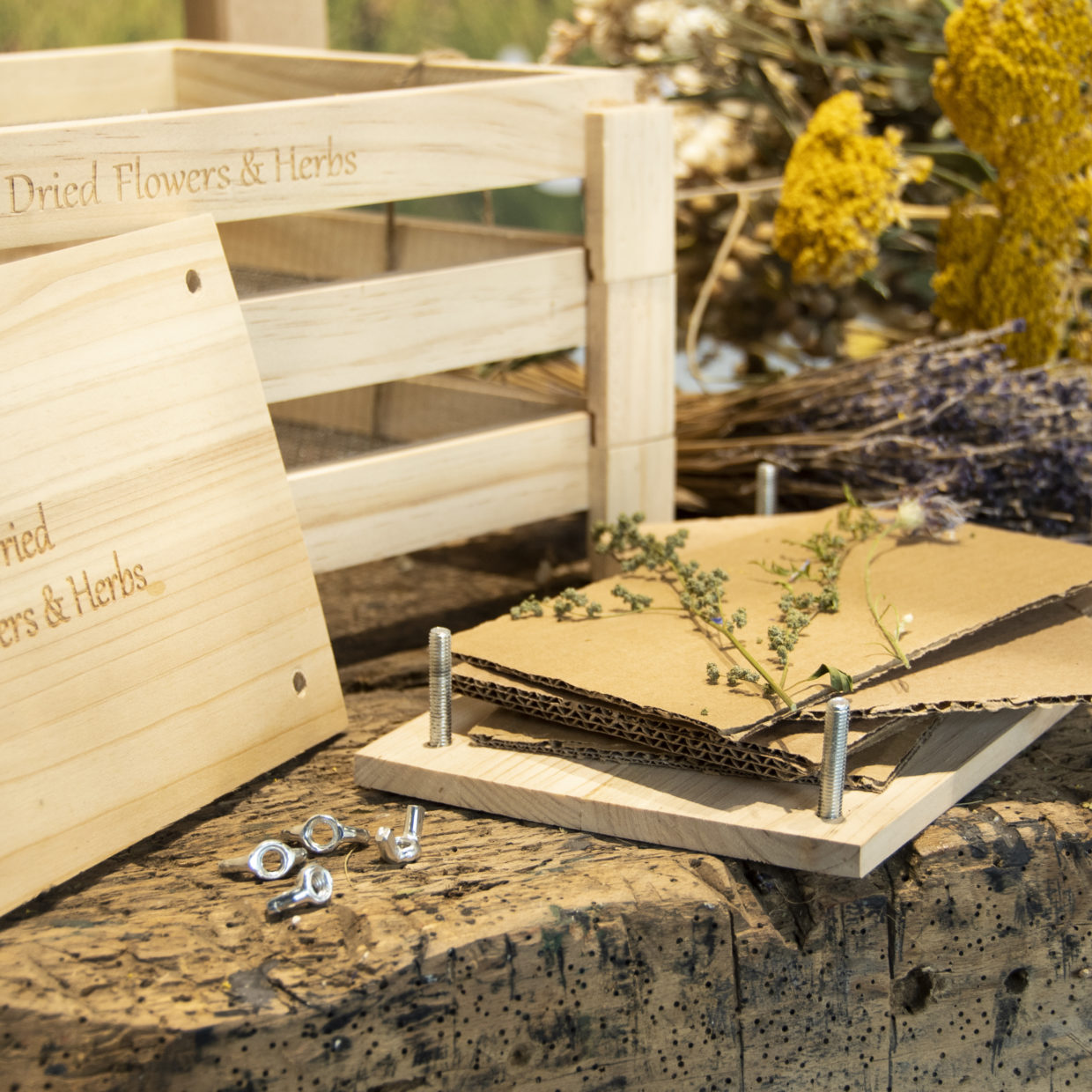 Puriri Lane | Flower & Herb Press