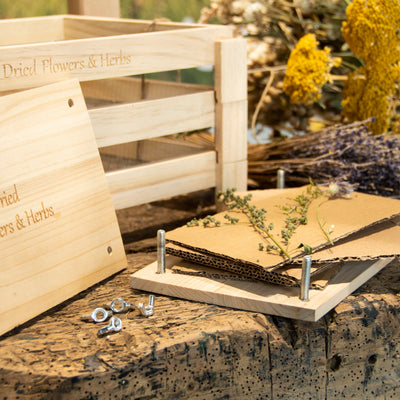 Puriri Lane | Flower & Herb Press