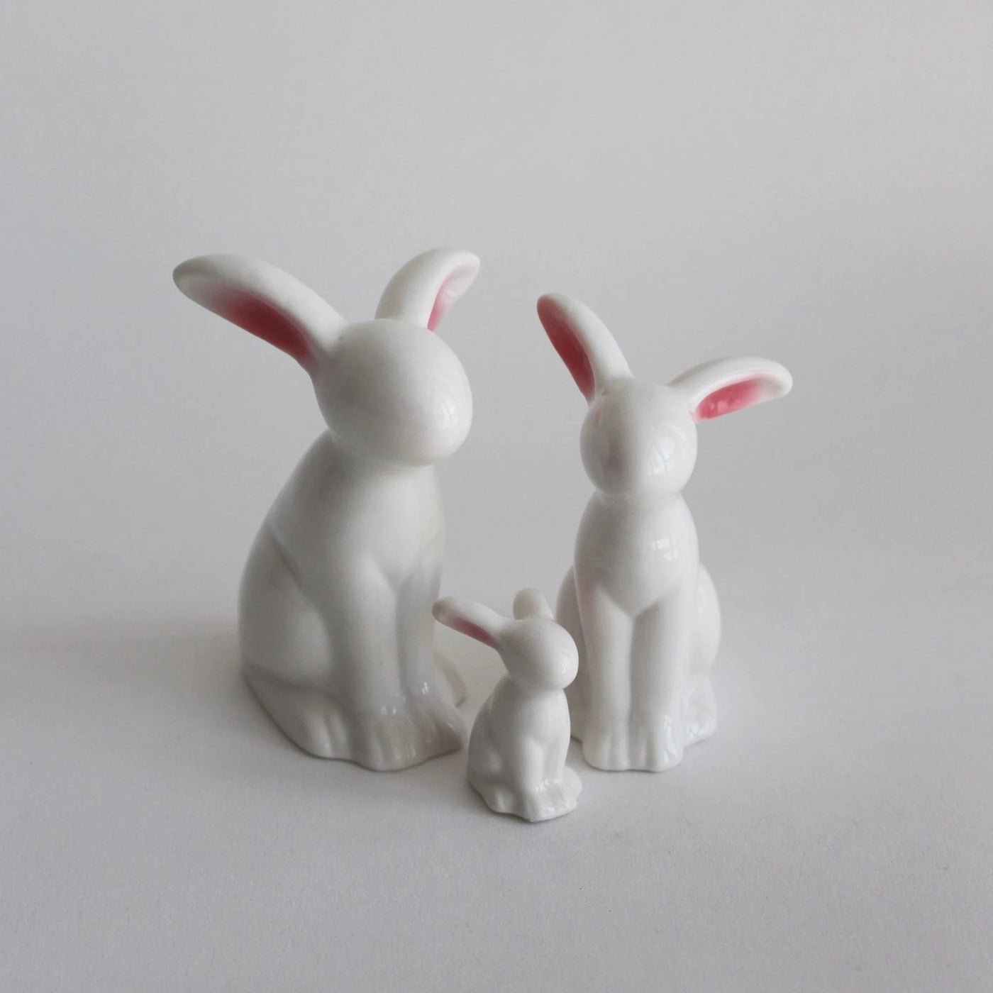 Puriri Lane | Rabbit Family
